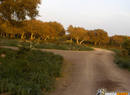 MotoGatti_Sardinia_Felix_22-25_04_06_00013292.jpg