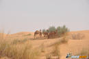 Tunisia_in_moto_2010_MotoGatti_DSC_0325.jpg